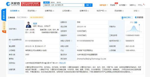 關聯公司注冊資本增至5.3億美元，增幅約10.4%，彰顯網絡技術服務領域強勁增長動能